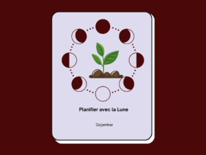 Planifier avec la Lune