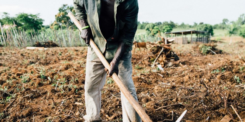 countryside-digging-farmer-2382665 countryside-digging-farmer-2382665