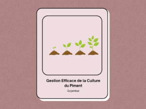 Gestion Efficace de la Culture du Piment