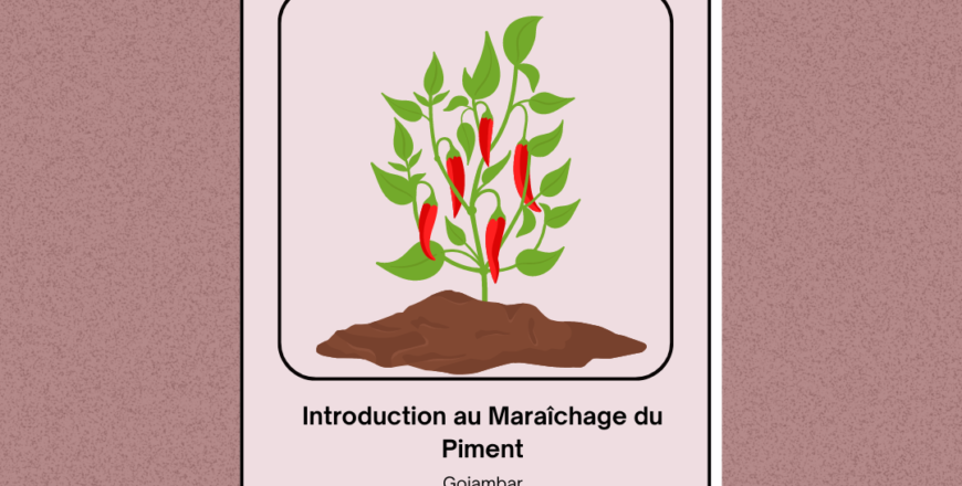 Introduction au Maraîchage du Piment