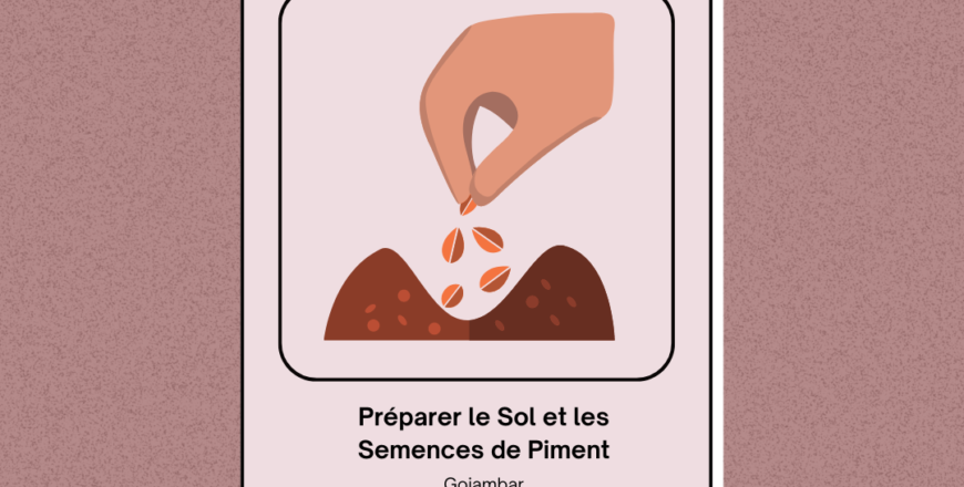 Préparer le Sol et les Semences de Piment