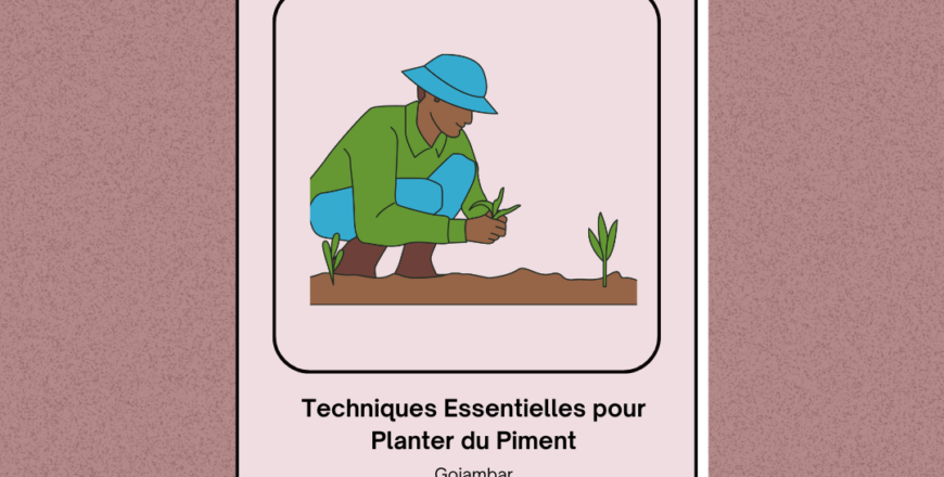 Techniques Essentielles pour Planter du Piment