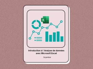 Introduction à l' Analyse de données avec Microsoft Excel